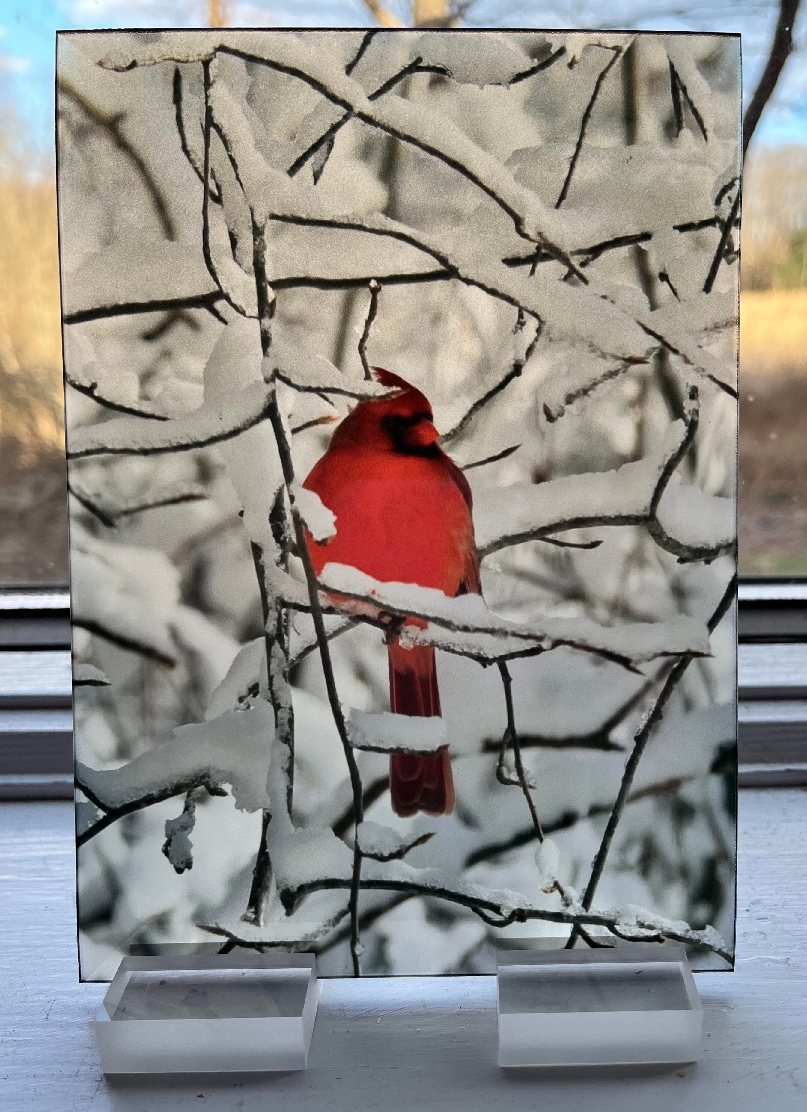 Cardinal in Snow glass print in window